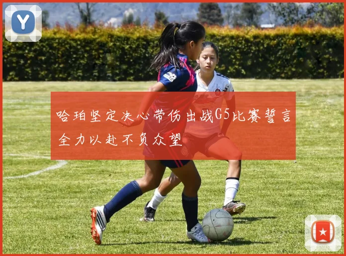 哈珀坚定决心带伤出战G5比赛誓言全力以赴不负众望