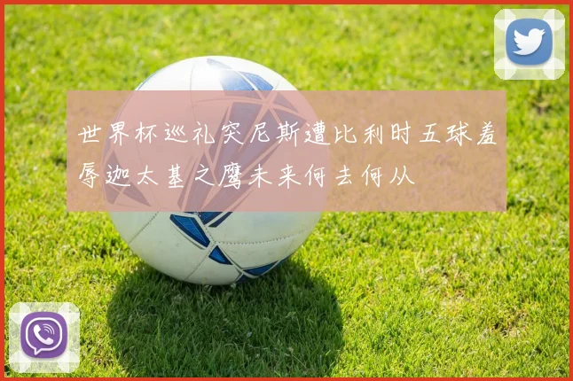 世界杯巡礼突尼斯遭比利时五球羞辱迦太基之鹰未来何去何从